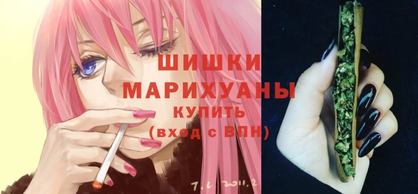 крисы Богородицк