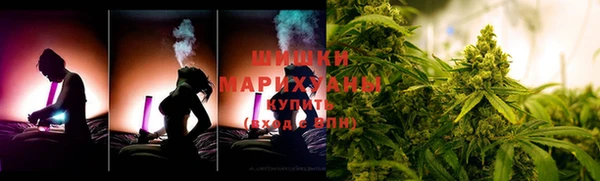 крисы Богородицк