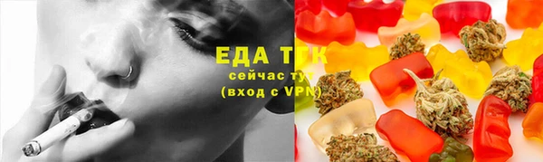 крисы Богородицк