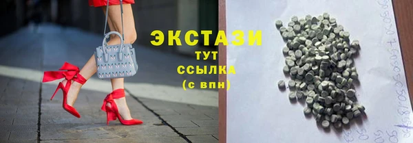 крисы Богородицк