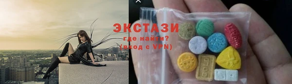 дмт Богданович