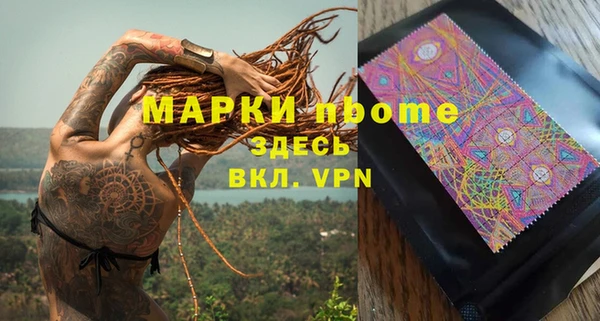 крисы Богородицк