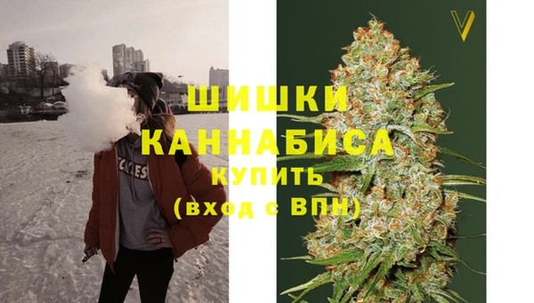 дмт Богданович