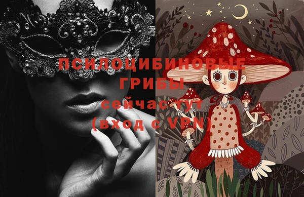 крисы Богородицк
