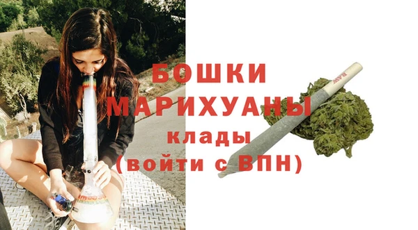 дмт Богданович