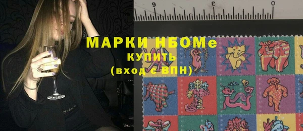 дмт Богданович