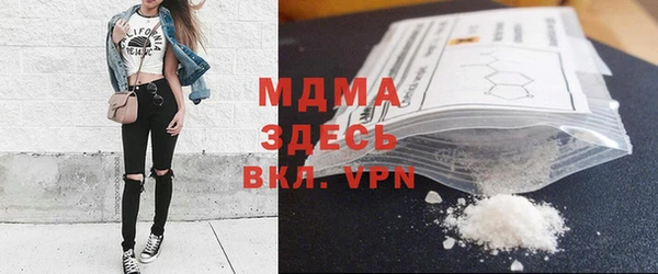 дмт Богданович