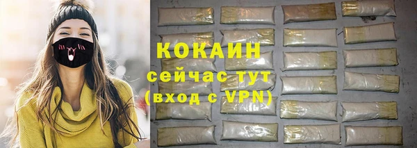 дмт Богданович