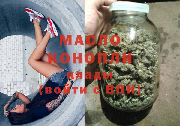 крисы Богородицк